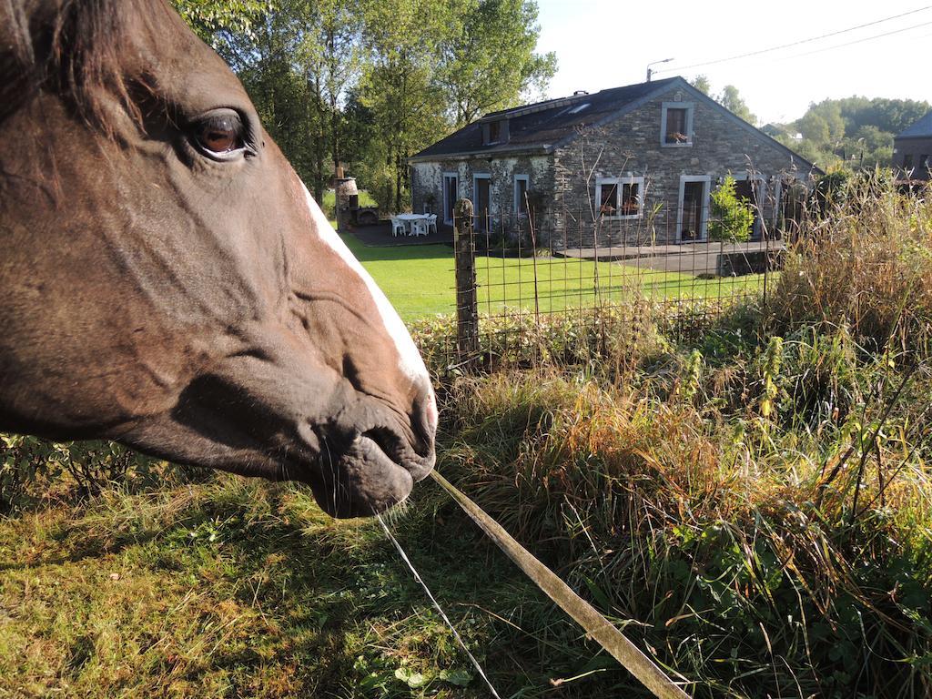 Une parenthèse en Ardenne Nollevaux Camera foto